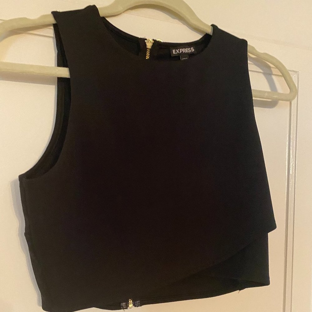 Express Black Crop Top